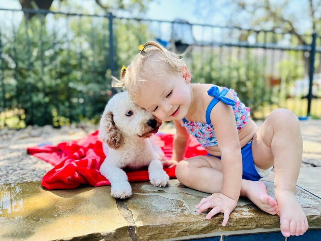 Mom of Cavapoo puppies by pool with cute baby in Dallas Texas. Breeder of Cavapoo puppies. 